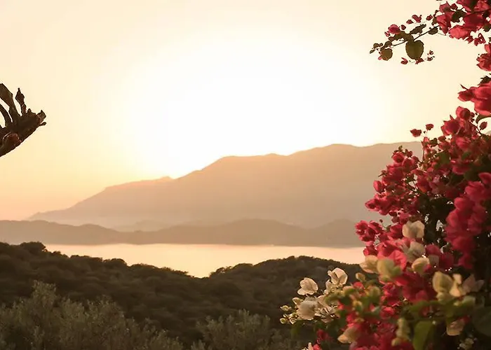 Kaktus 2 Вілла Каш