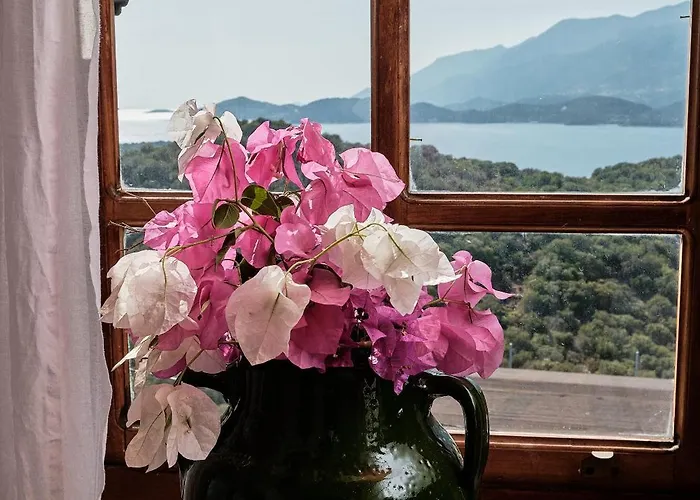 Kaktus 2 Вілла Каш