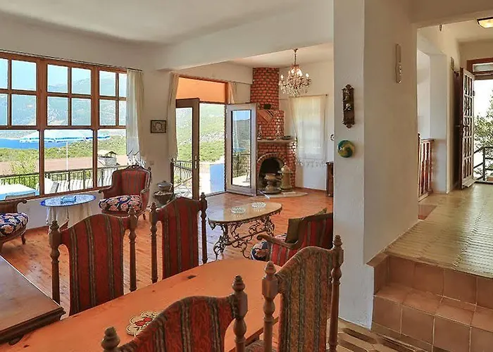 Kaktus 2 فيلة كاس