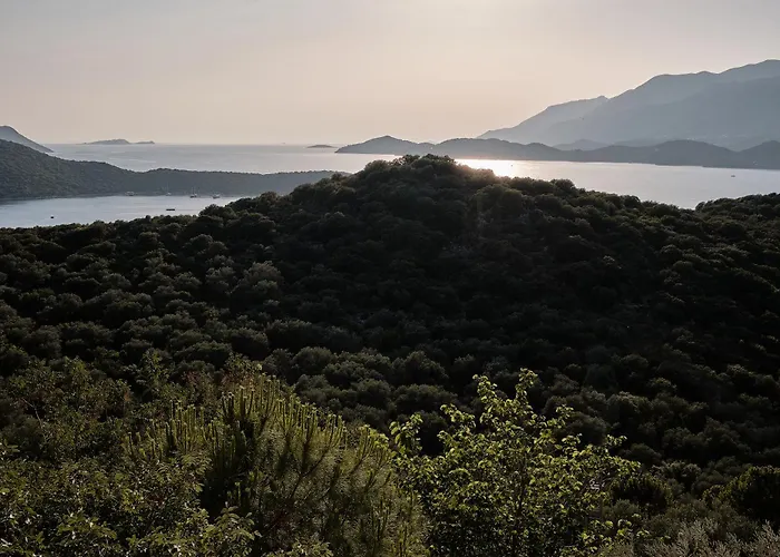 Kaktus 2 فيلة كاس