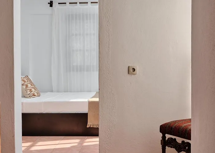 Kaktus 2 فيلة كاس