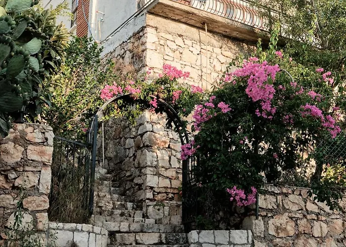 فيلة Kaktus 2 كاس