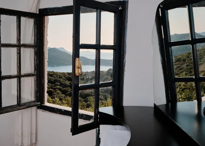 فيلة Kaktus 2 كاس